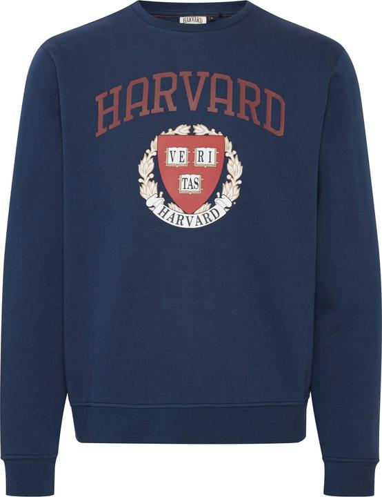 Blend Sweatshirt - Sweatshirt - 20716638