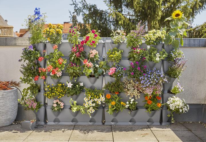 Produktbild Gardena NatureUp! (Bewässerungsuhr)
