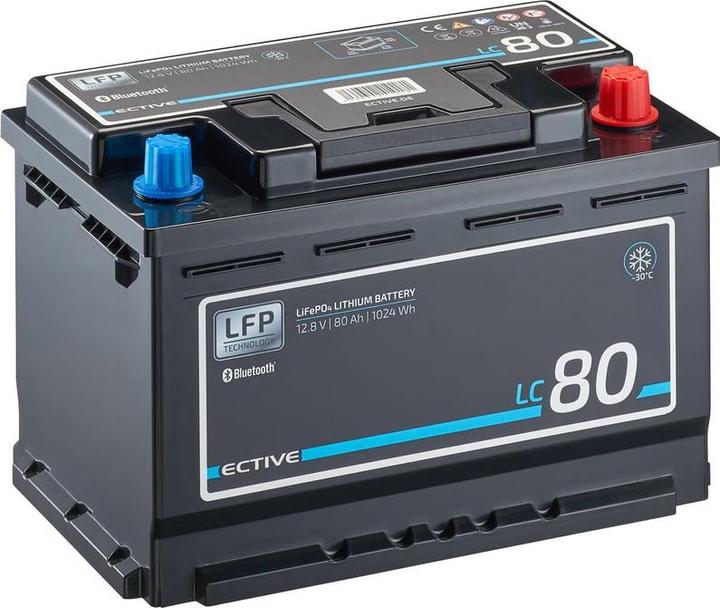 Immagine prodotto Ective LC100 (12 V, 100 Ah)