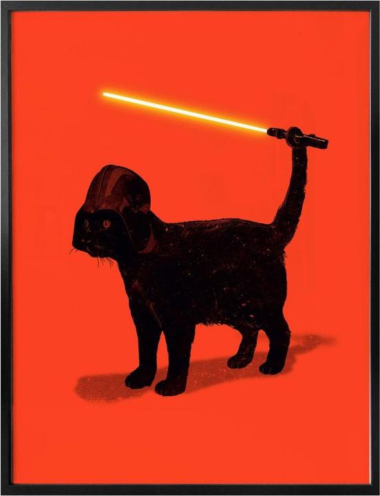 Image du produit Trenddeko Cat Vader (24 x 30 cm)