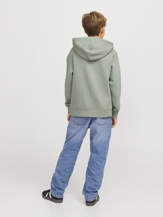 Produktbild Jack & Jones Jjestar Jj Sweat Hood Noos Jnr (176)
