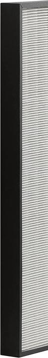 Actual product image Rowenta XD6070 Hepa Filter/PU4010 (1 x)