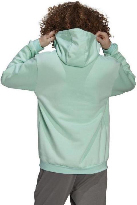 Actual product image adidas Sweatshirt Entrada 22 M HC5081 (M)