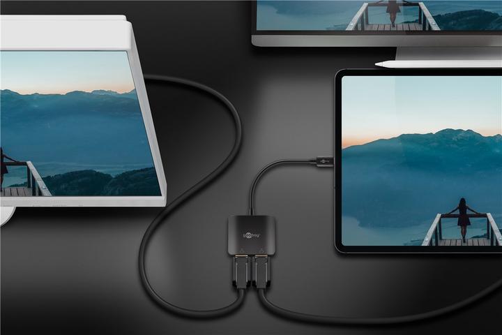 Image du produit Goobay Adaptateur USB-C vers 2x DisplayPort (USB-C, 12 cm)