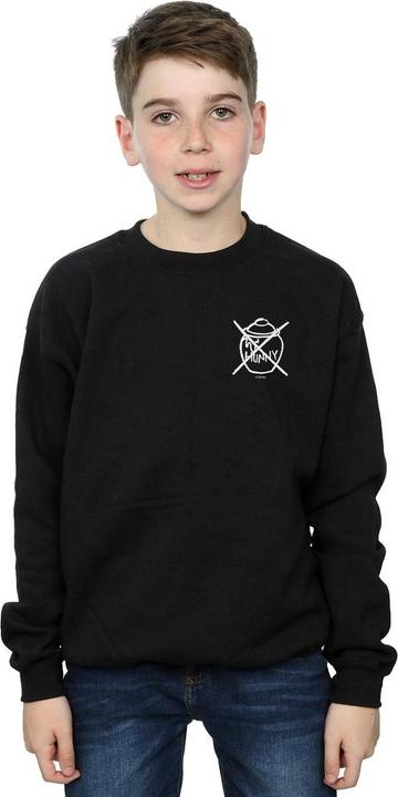 Image du produit Disney - Sweat WINNIE THE POOH NOT HONEY - Garçon (116)