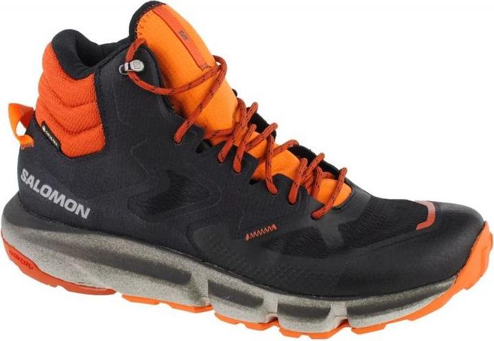 Salomon Predict Hike Mid Gtx 417368 46 2/3 (46 2/3)