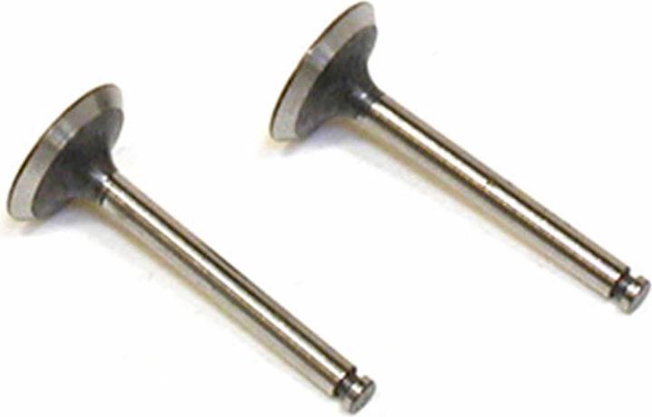 Actual product image Saito VALVE-IN/OUT (PR)
