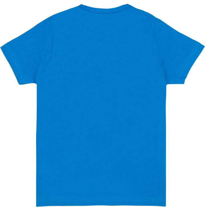 Actual product image Sonic The Hedgehog Tshirt boys (110)