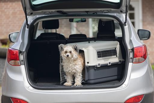 Image du produit Karlie Boîte de transport nomade (Chien, Chat, Verrouillable)