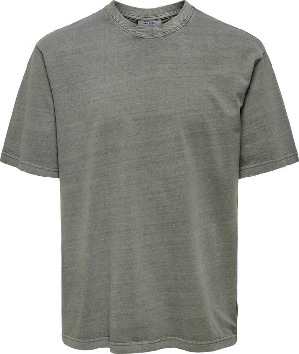 Gris Castor Gray
