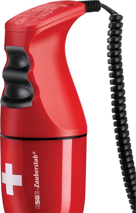 Actual product image ESGE Pürierstab (EU plug)