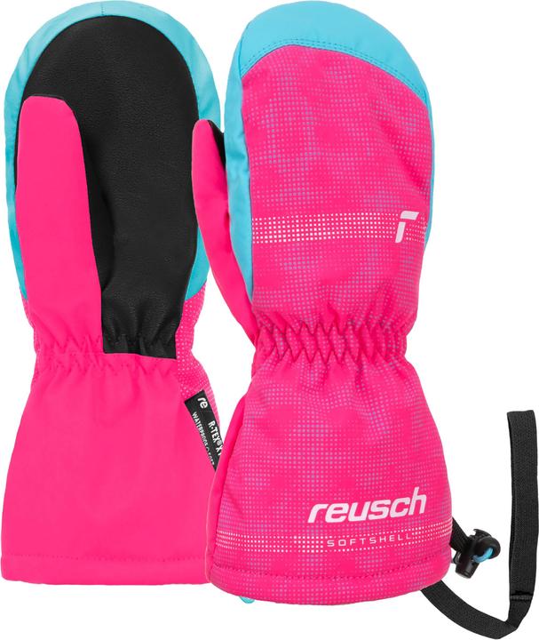 Bachelor Button, Knockout Pink
