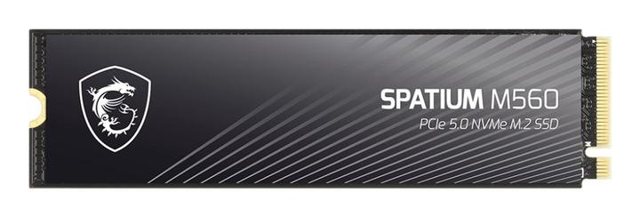 Actual product image MSI Spatium M560 (1000 GB, M.2 2280)