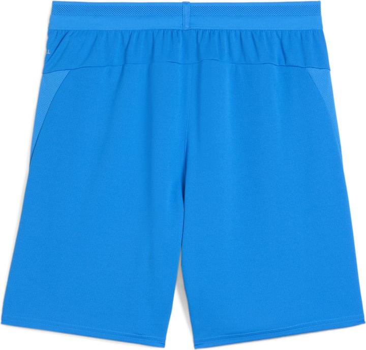 Actual product image Puma teamCUP Shorts (L)