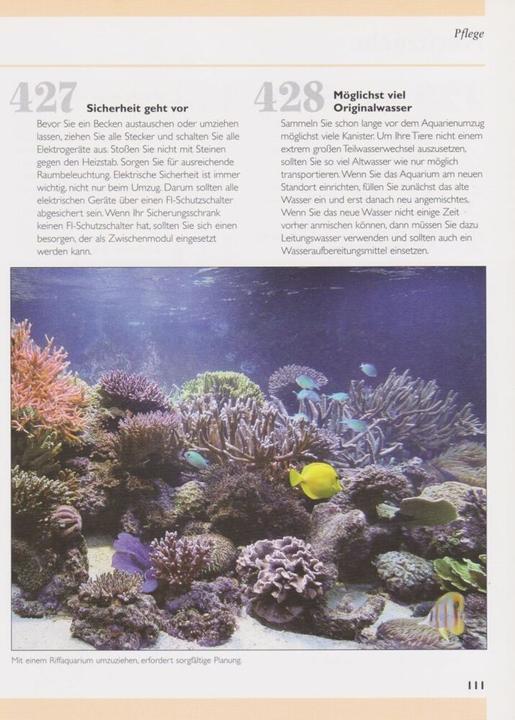 Actual product image 500 Tipps und Tricks zur Meerwasseraquaristik (German, Dave Garratt, Tristan Lougher, Tim Hayes, Dick Mills, 2007)