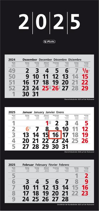 Produktbild Herlitz 3-Monats-Wandkalender 2025 33x70cm, m. Tagesanzeiger, 4-spr. (330 x 700 mm, Deutsch)
