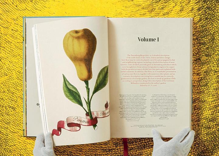 Image du produit J. C. Volkamer. The Book of Citrus Fruits (Allemand, Français, Anglais, Iris Lauterbach, 2020)
