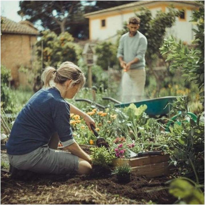 Actual product image Fiskars Xact Garden Trowel Stainless Steel, Stainless Steel