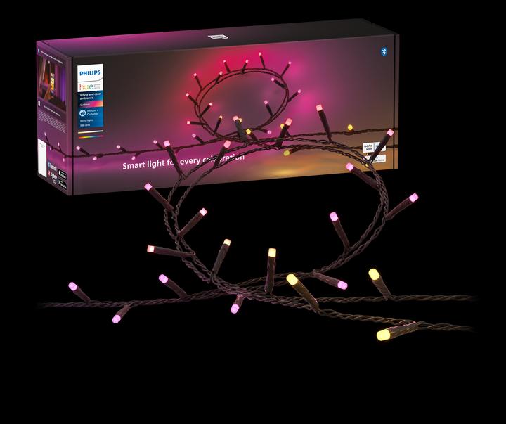 Actual product image Philips Hue Festavia (EU plug) (40 m)