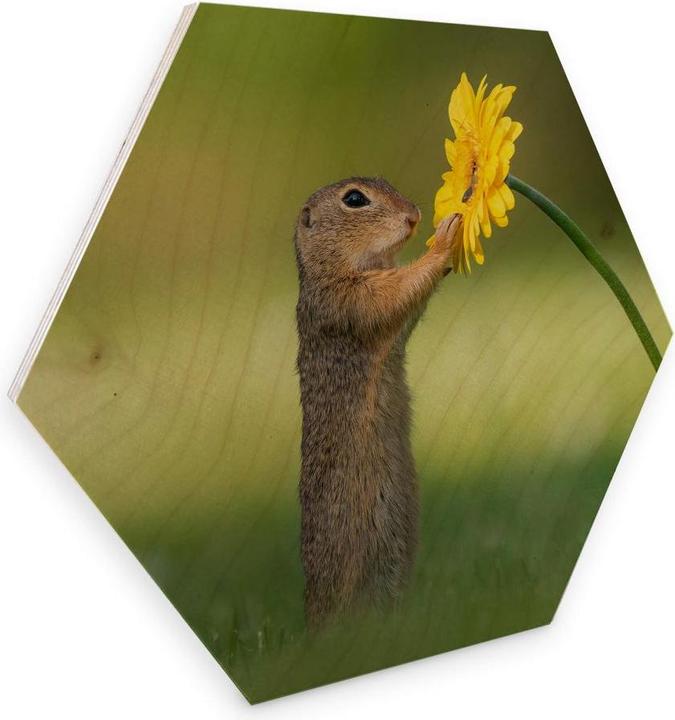Immagine prodotto Trenddeko van Duijn - Gopher con fiore in mano (75 x 65 cm)