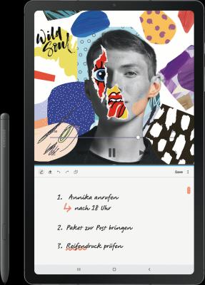 Image du produit Samsung Galaxy Tab S6 Lite (4G, 10.40", 64 Go, Oxford Grey)