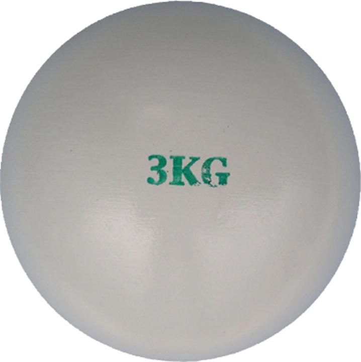 3000 g