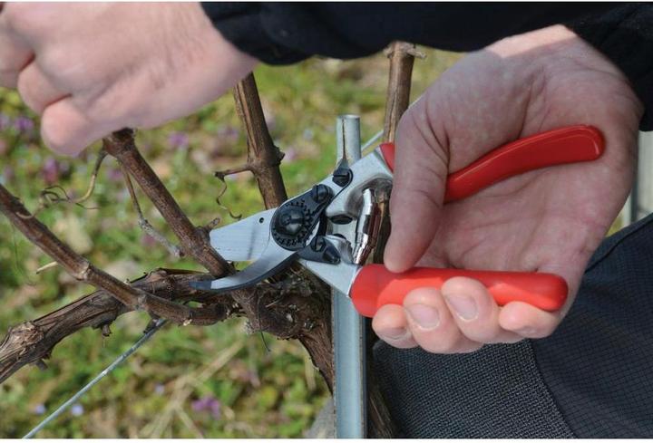 Produktbild Felco Gartenschere 7