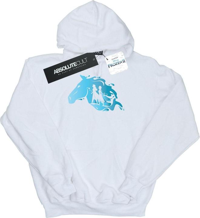 Image du produit Disney - Sweat à capuche FROZEN NOKK SILHOUETTE - Homme (XXL)