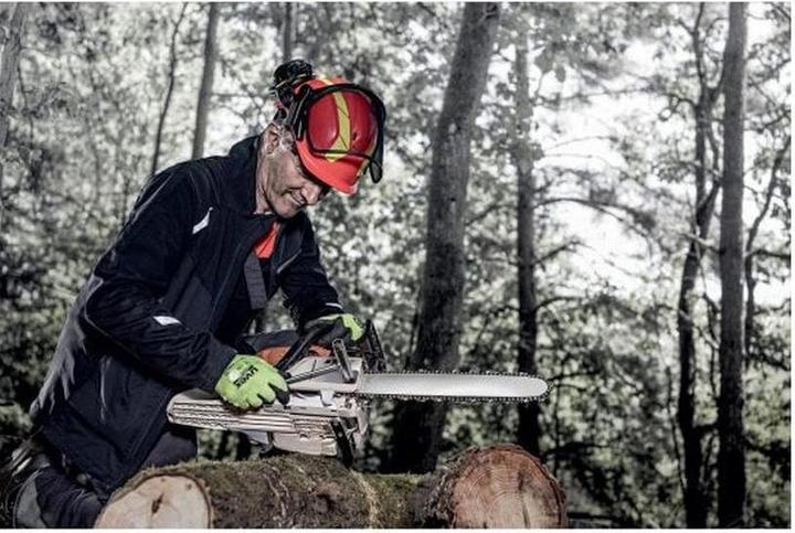 Image du produit Uvex Safety Pheos Casque forestier (52 - 61 cm)