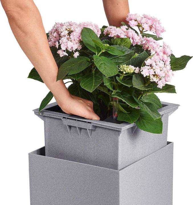 Immagine prodotto Lechuza Pietra di Canto (40 cm)