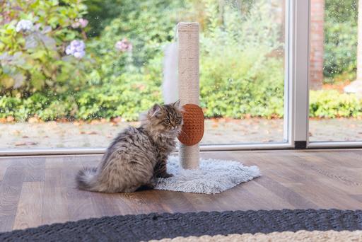 Image du produit Beeztees Pflegehandschuh (Chat)