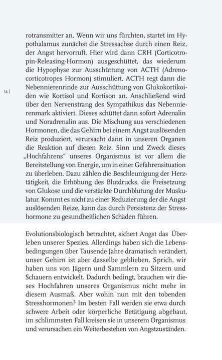 Produktbild Willkommen Angst (Deutsch, Constanze Dennig, 2023)