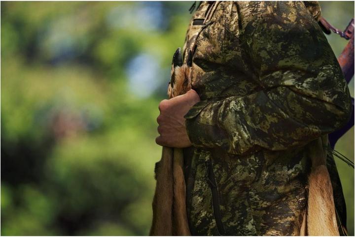 Actual product image Seeland Avail Camo jacket (54)