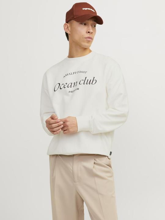 Actual product image Jack & Jones Gedruckt Sweatshirt mit Rundhals Sweatshirt mit Rundhals (XXL)
