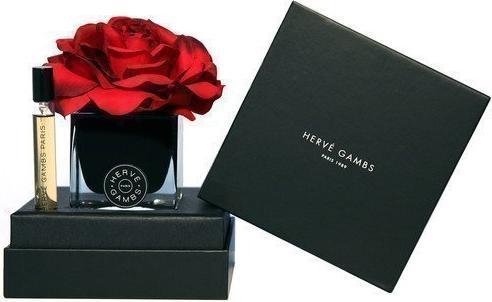 Histoires de Parfums Herve Gambs Set Ecorce Fauve Room Spray 10 Ml - Black Couture Flower Porcelain Aroma Reed Diffuser (Eau de Parfum)