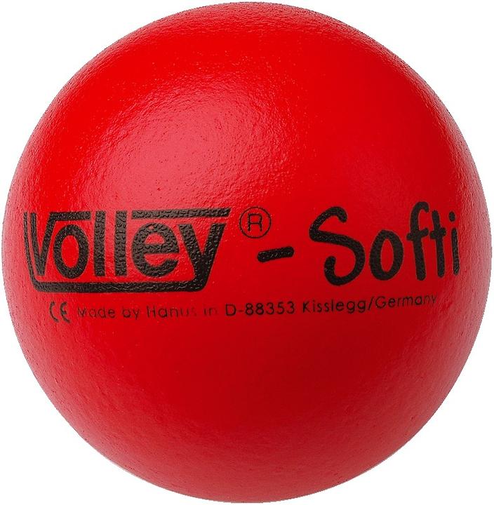 Volley Softball: Softi