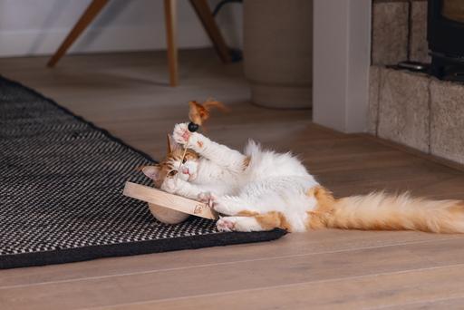 Actual product image Designed by Lotte Winni (Catmint toy)