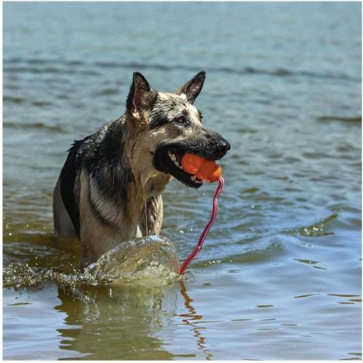 Actual product image KONG Aqua (Retrieval)