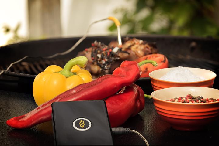 Actual product image WeGrill One