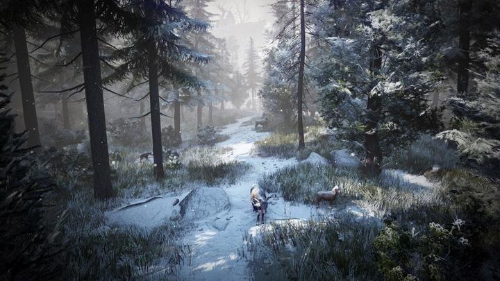Actual product image Pearl Abyss Black Desert: Prestige Edition (PS4, DE)