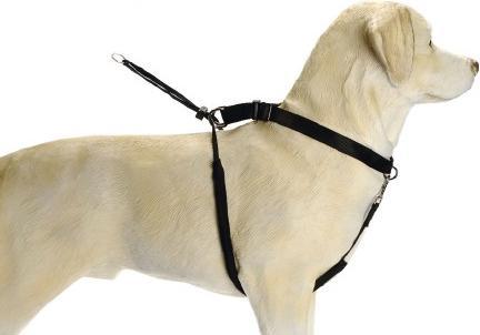 Immagine prodotto Beeztees Bz Gentle Walker Nero X-La (XL, Cane, Generale)