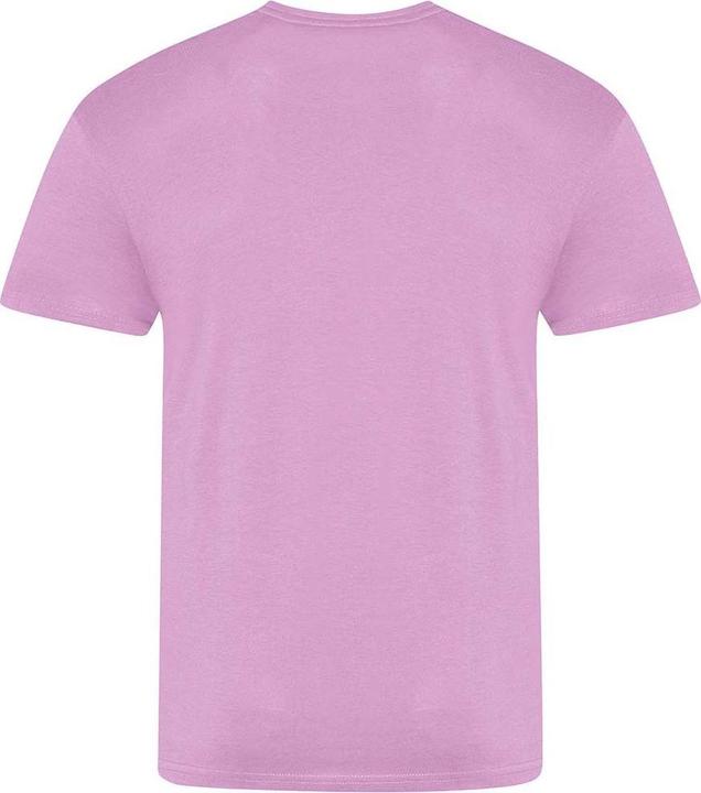 Actual product image Awdis Mens The 100 T-Shirt (M)