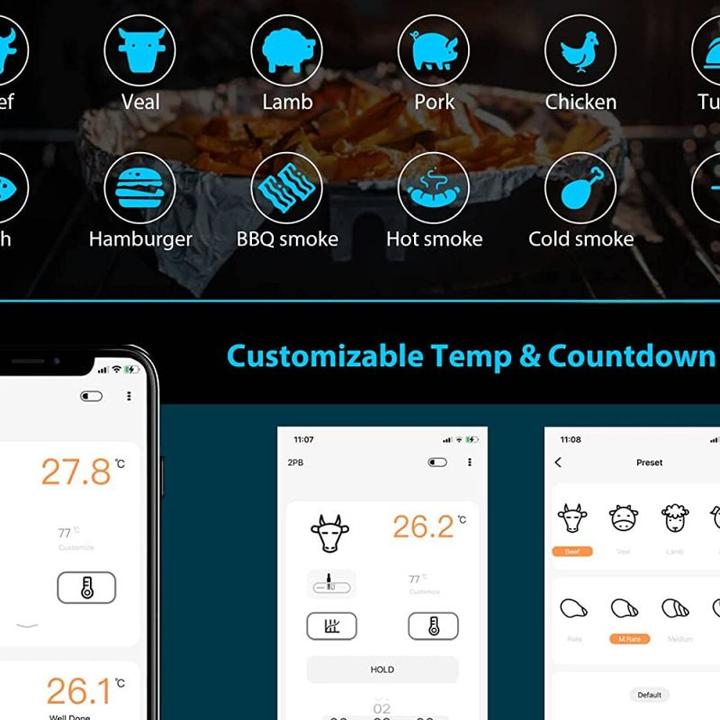 Image du produit Inkbird IHT-2PB Thermomètre à piqûre numérique