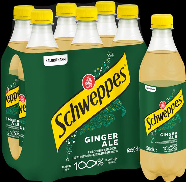 Actual product image Schweppes Ginger Ales (24 x 50 cl)