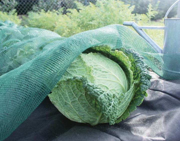 Produktbild Siena Garden Insektennetz/Schattiernetz