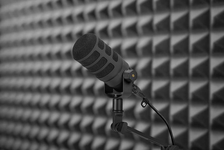 Image du produit RØDE WS14