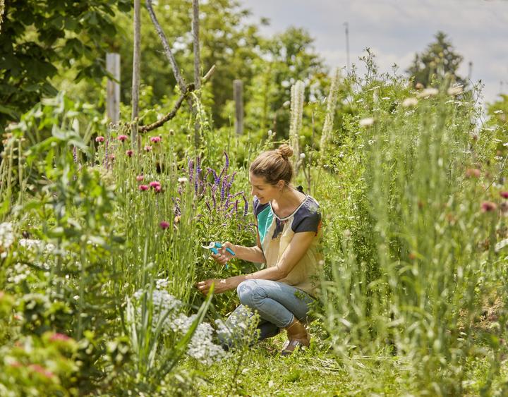 Produktbild Gardena Gartenscheren