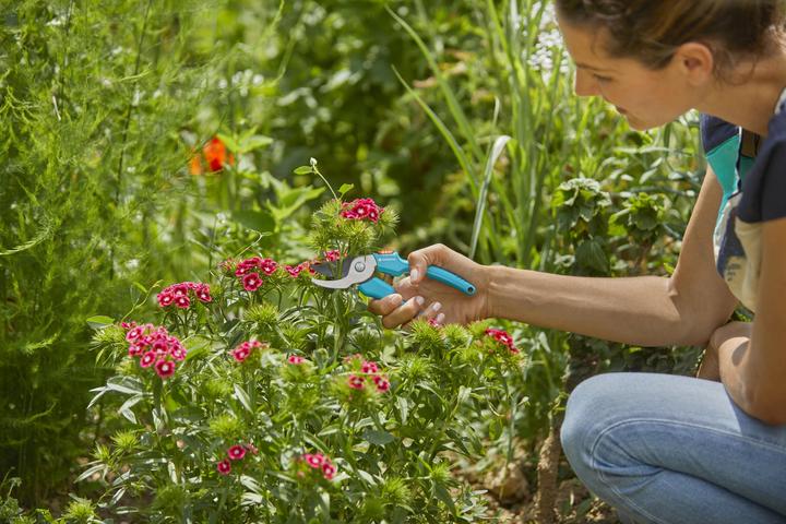 Produktbild Gardena Gartenscheren