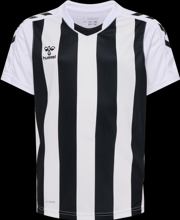 Actual product image hummel Core Xk Striped Jersey Kids S/S (152)