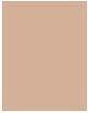 Produktbild L'Oréal Paris Infaillible (220 Sand)